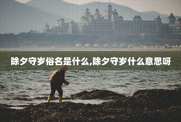 除夕守岁俗名是什么,除夕守岁什么意思呀