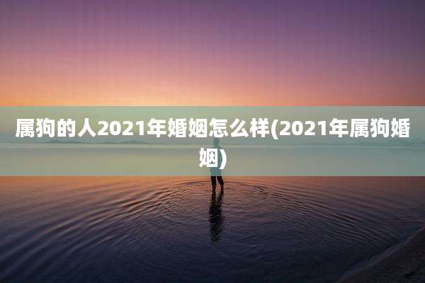 属狗的人2021年婚姻怎么样(2021年属狗婚姻)