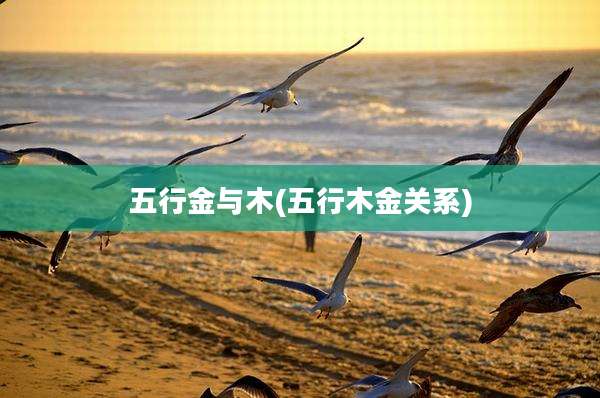 五行金与木(五行木金关系)