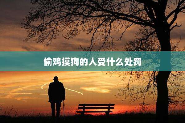 偷鸡摸狗的人受什么处罚