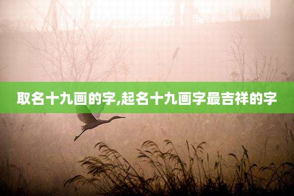 取名十九画的字,起名十九画字最吉祥的字