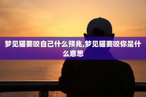 梦见猫要咬自己什么预兆,梦见猫要咬你是什么意思