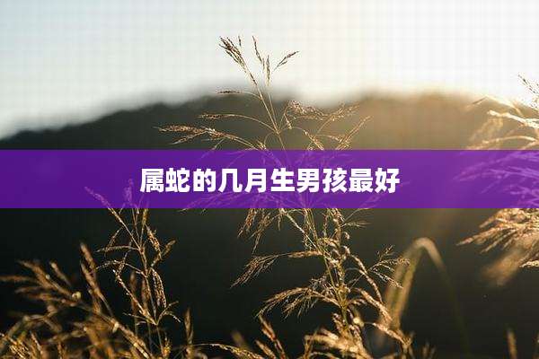 属蛇的几月生男孩最好