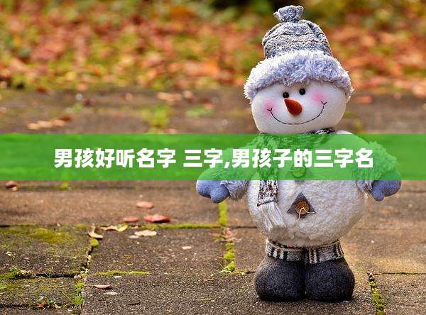 男孩好听名字 三字,男孩子的三字名