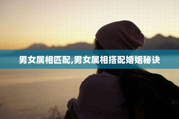 男女属相匹配,男女属相搭配婚姻秘诀