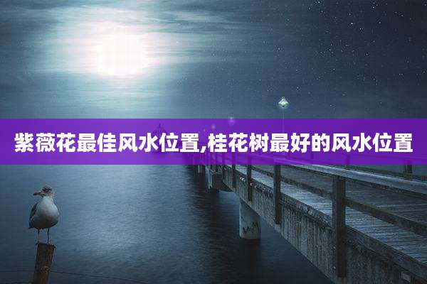 紫薇花最佳风水位置,桂花树最好的风水位置