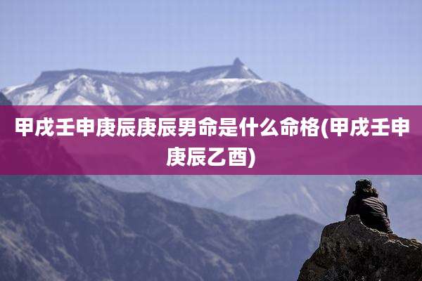甲戌壬申庚辰庚辰男命是什么命格(甲戌壬申庚辰乙酉)