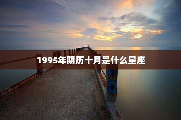 1995年阴历十月是什么星座