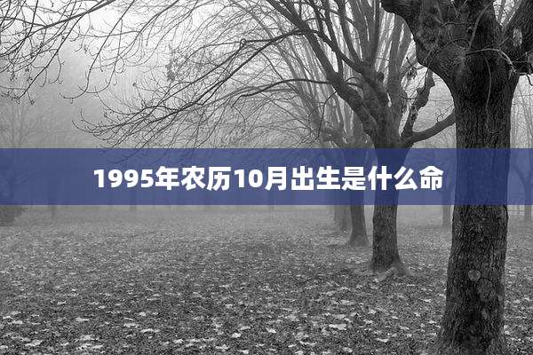 1995年农历10月出生是什么命