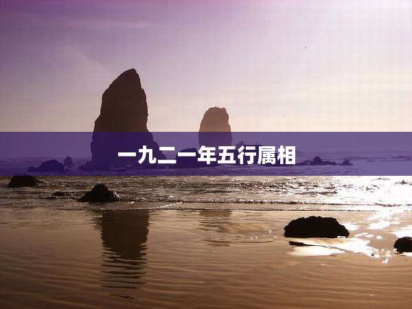 一九二一年五行属相