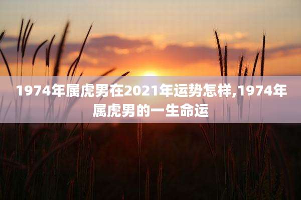 1974年属虎男在2021年运势怎样,1974年属虎男的一生命运