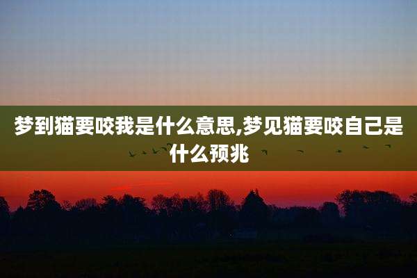 梦到猫要咬我是什么意思,梦见猫要咬自己是什么预兆