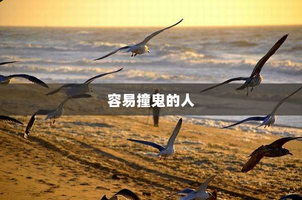 容易撞鬼的人