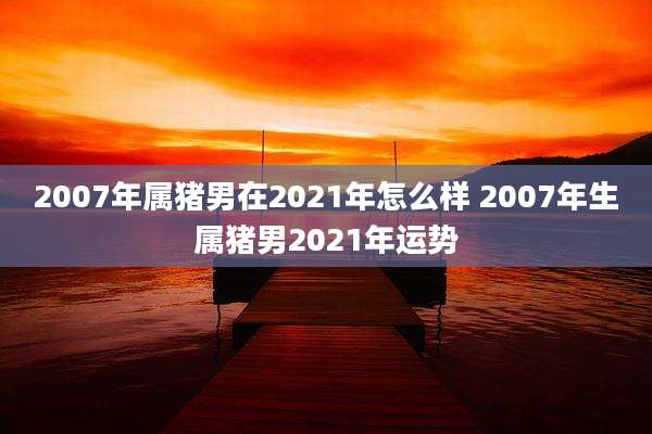 2007年属猪男在2021年怎么样 2007年生属猪男2021年运势