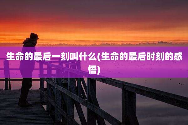 生命的最后一刻叫什么(生命的最后时刻的感悟)