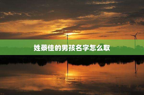姓蔡佳的男孩名字怎么取