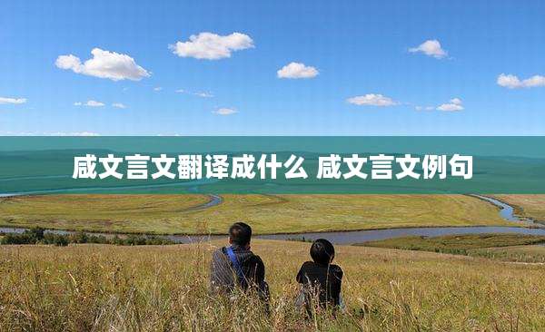 咸文言文翻译成什么 咸文言文例句