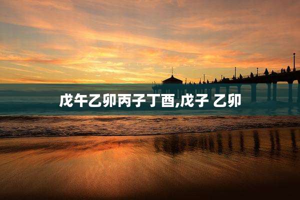戊午乙卯丙子丁酉,戊子 乙卯