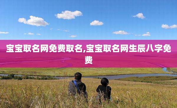 宝宝取名网免费取名,宝宝取名网生辰八字免费