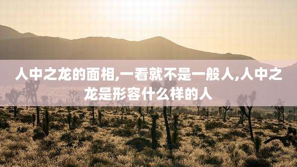 人中之龙的面相,一看就不是一般人,人中之龙是形容什么样的人
