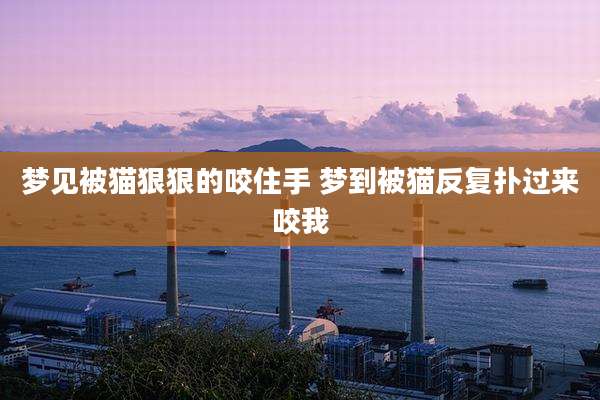 梦见被猫狠狠的咬住手 梦到被猫反复扑过来咬我