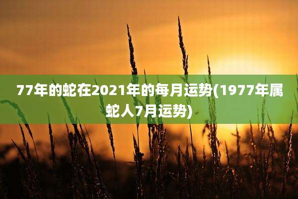 77年的蛇在2021年的每月运势(1977年属蛇人7月运势)