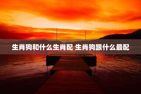 生肖狗和什么生肖配 生肖狗跟什么最配