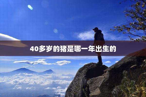 40多岁的猪是哪一年出生的