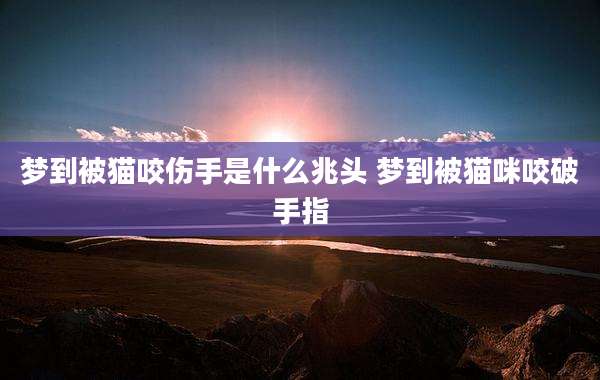 梦到被猫咬伤手是什么兆头 梦到被猫咪咬破手指