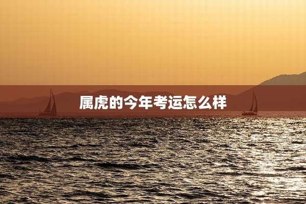 属虎的今年考运怎么样