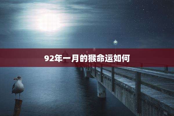 92年一月的猴命运如何