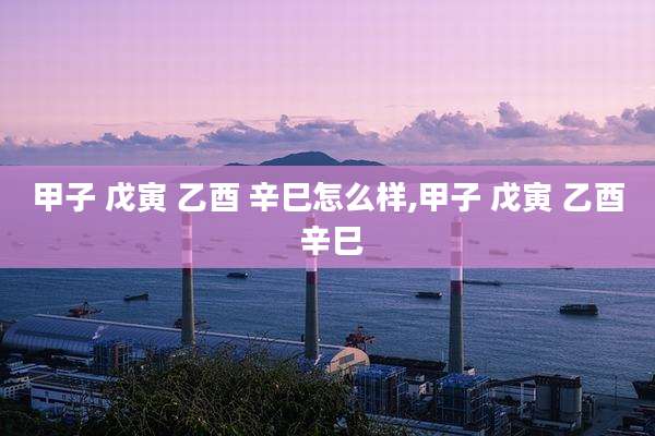 甲子 戊寅 乙酉 辛巳怎么样,甲子 戊寅 乙酉 辛巳