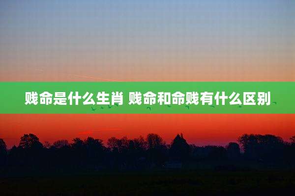 贱命是什么生肖 贱命和命贱有什么区别