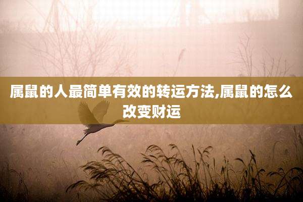 属鼠的人最简单有效的转运方法,属鼠的怎么改变财运