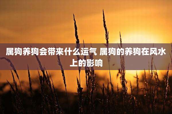 属狗养狗会带来什么运气 属狗的养狗在风水上的影响