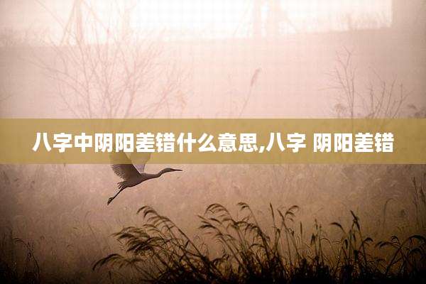 八字中阴阳差错什么意思,八字 阴阳差错