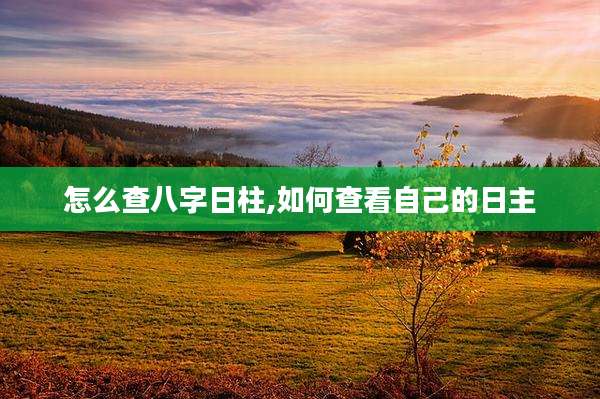 怎么查八字日柱,如何查看自己的日主