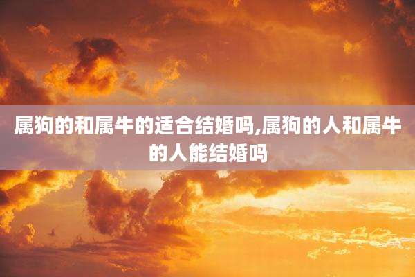 属狗的和属牛的适合结婚吗,属狗的人和属牛的人能结婚吗
