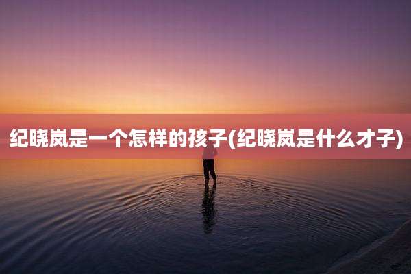 纪晓岚是一个怎样的孩子(纪晓岚是什么才子)