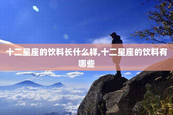 十二星座的饮料长什么样,十二星座的饮料有哪些