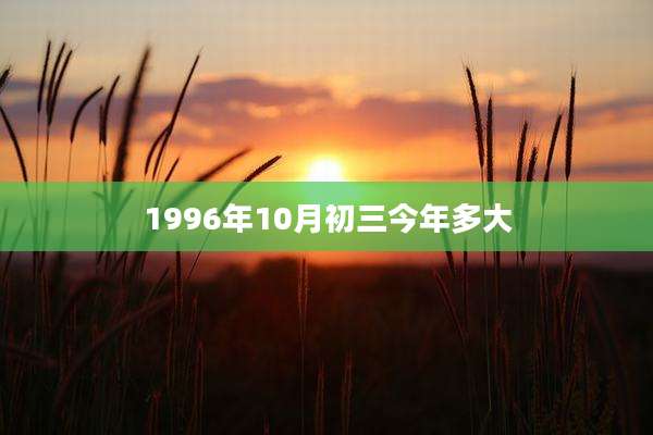1996年10月初三今年多大