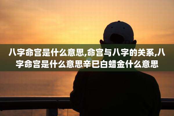 八字命宫是什么意思,命宫与八字的关系,八字命宫是什么意思辛巳白蜡金什么意思