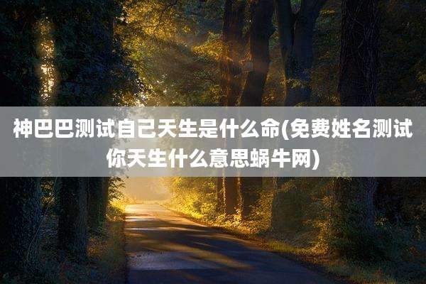 神巴巴测试自己天生是什么命(免费姓名测试你天生什么意思蜗牛网)