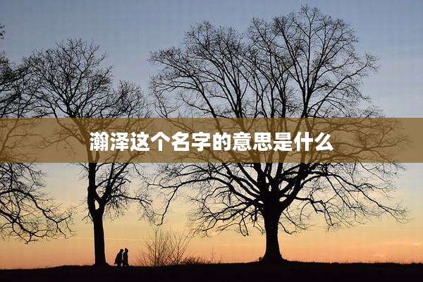 瀚泽这个名字的意思是什么