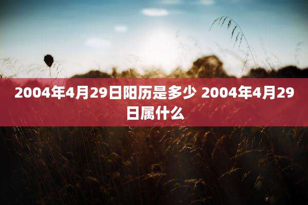 2004年4月29日阳历是多少 2004年4月29日属什么