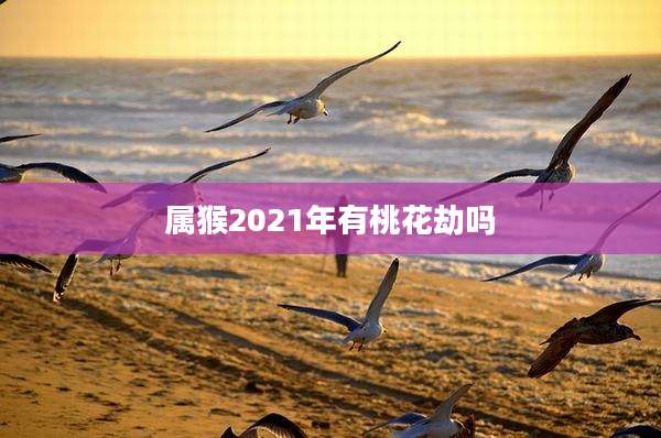 属猴2021年有桃花劫吗