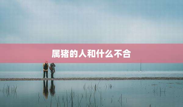 属猪的人和什么不合