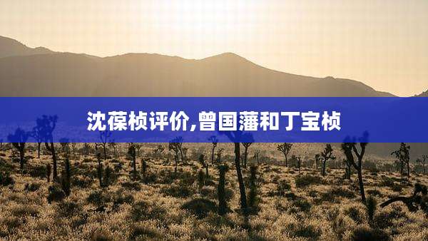 沈葆桢评价,曾国藩和丁宝桢