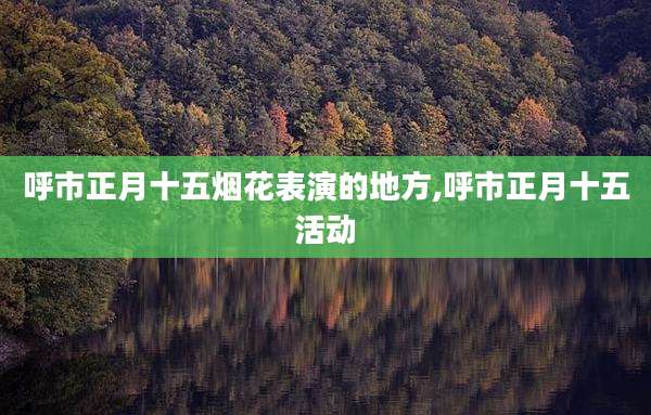 呼市正月十五烟花表演的地方,呼市正月十五活动