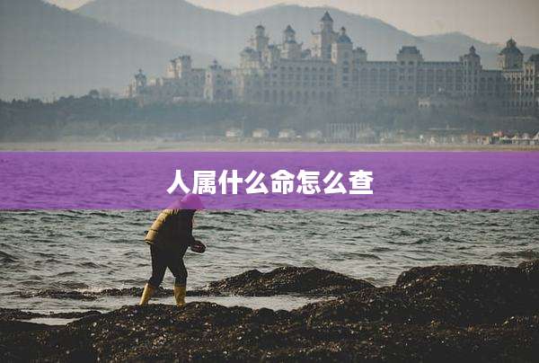 人属什么命怎么查